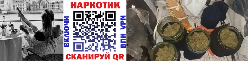 Наркота Петушки Псилоцибиновые грибы  blacksprut вход  Кокаин  Гашиш  Меф  МАРИХУАНА  Alpha PVP 