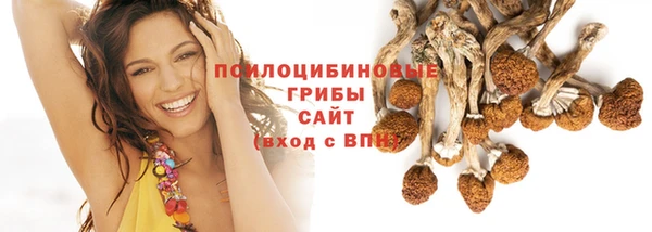 jwh Новозыбков