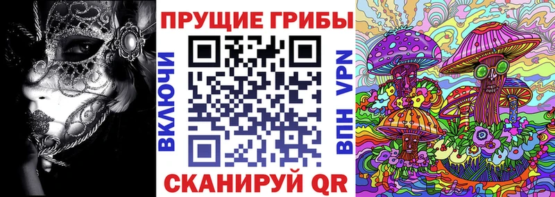 где купить наркотик  Петушки  Галлюциногенные грибы мицелий 